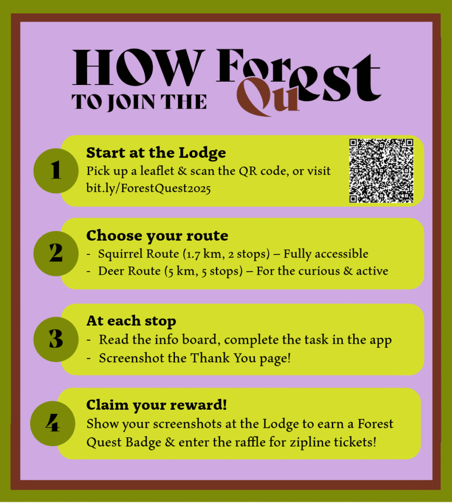 Leaflet: How to join the Forest Quest