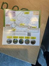 A participant’s photo of the Forest Quest map and leaflet, used to guide their walk through the park.