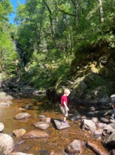 A participant’s photo of their child playing on stepping stones in the stream – one of the fun ways visitors connected with the forest.