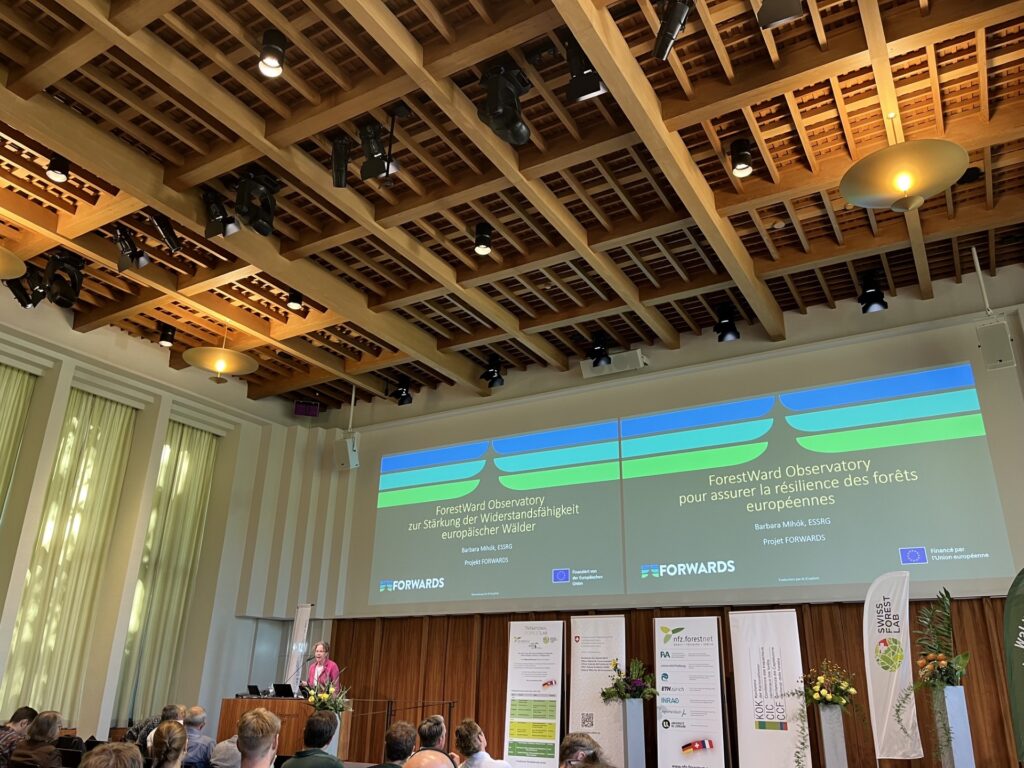 Barbara Mihok at the plenary session